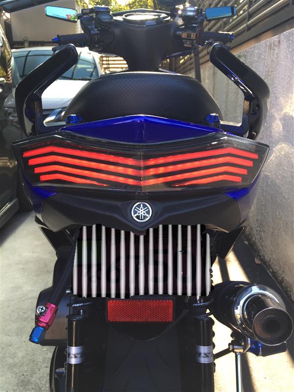 GAMMAS R3 フロウラインLED フラッシャー テールランプキット のパーツ