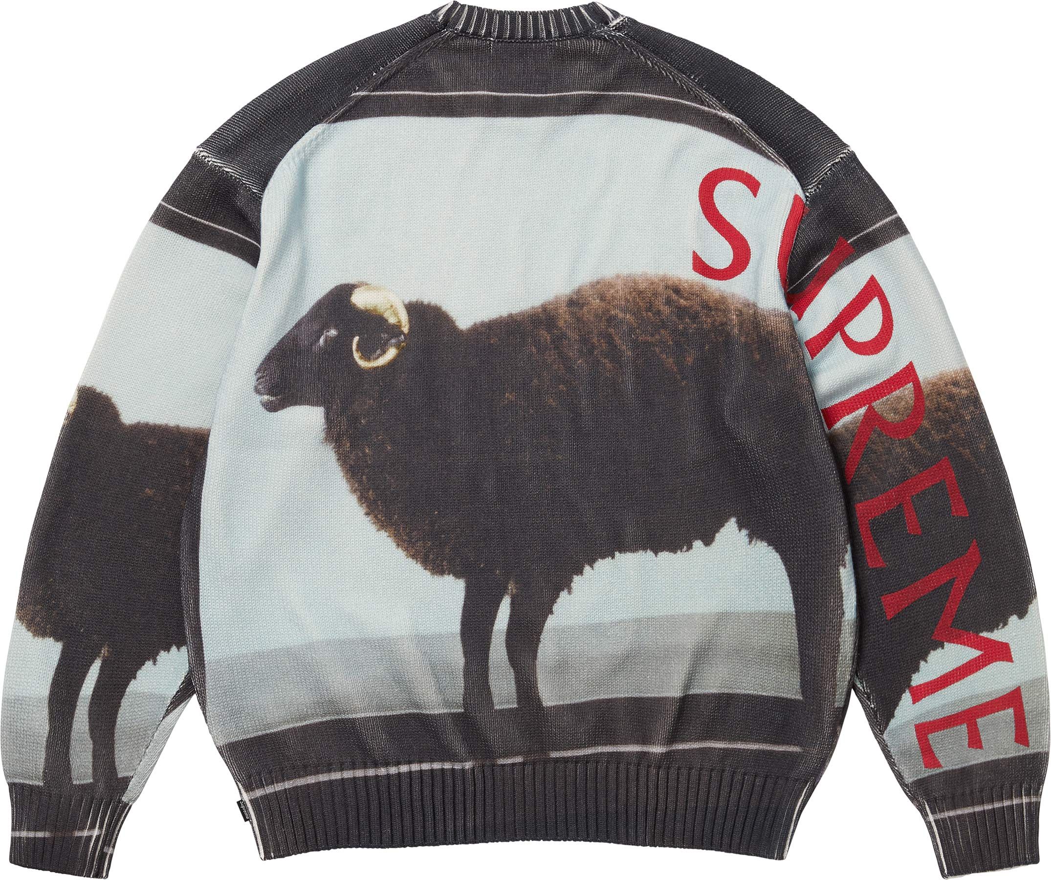 Spring/Summer 2025 Preview – Supreme