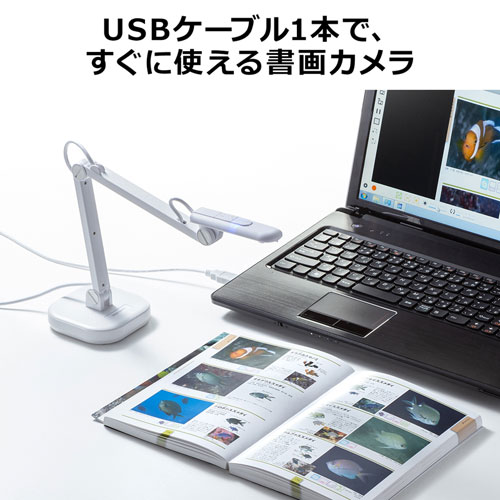 サンワダイレクト本店 サンワサプライ【オフィス・PC周辺通販】