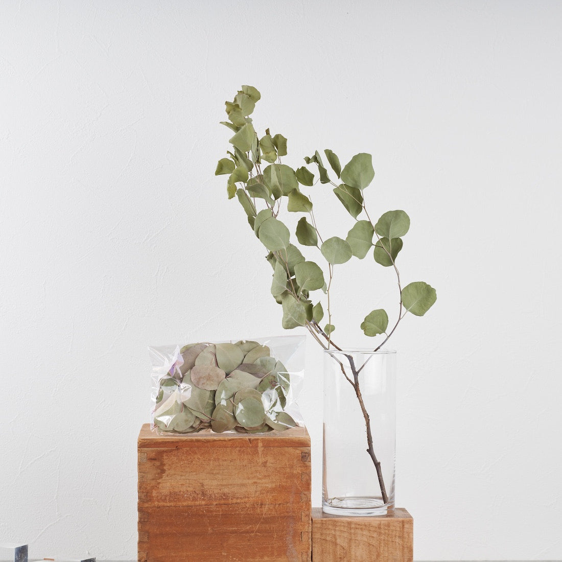 ディスプレイの幅が広がる、ドライボタニカル量り売り（ユーカリロング