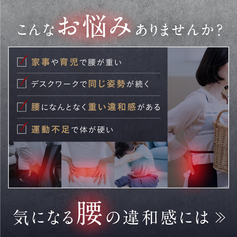 NIPLUX公式店】WAISTURELAX│支えながらケア電動サポーター