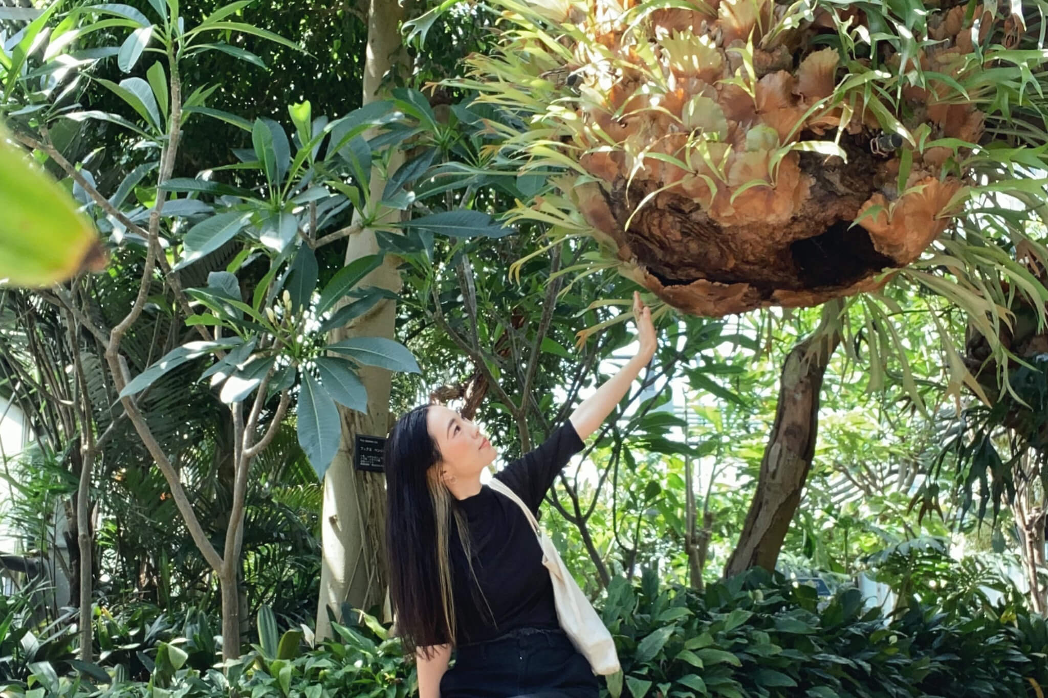 植物を愛でて、描く。人気ボタニカルペインターSaori Ohwadaさんが描き