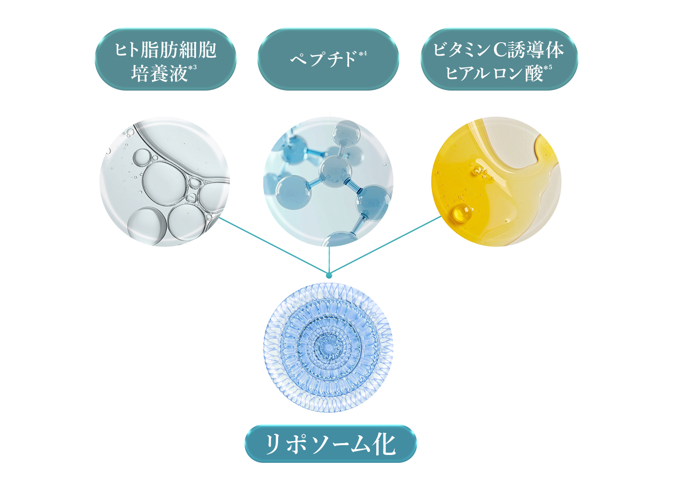 ANELA BEAUTY PLUMPER SERUM RICH