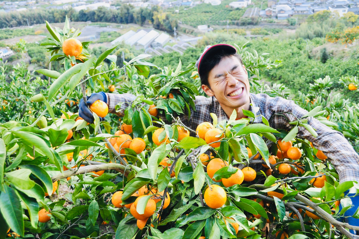 about-us - みかんのみっちゃん農園