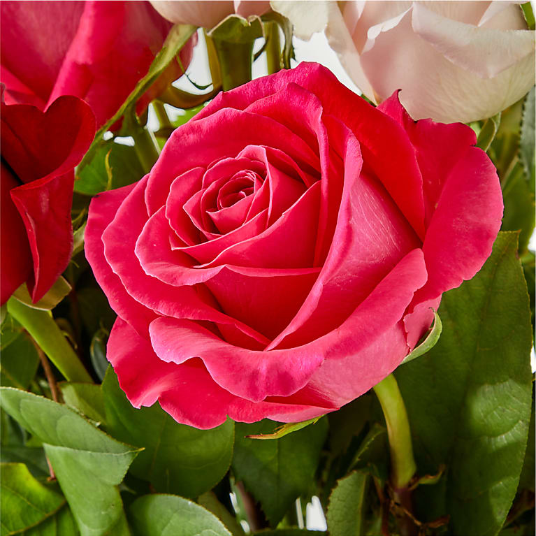 Charming Rose Bouquet