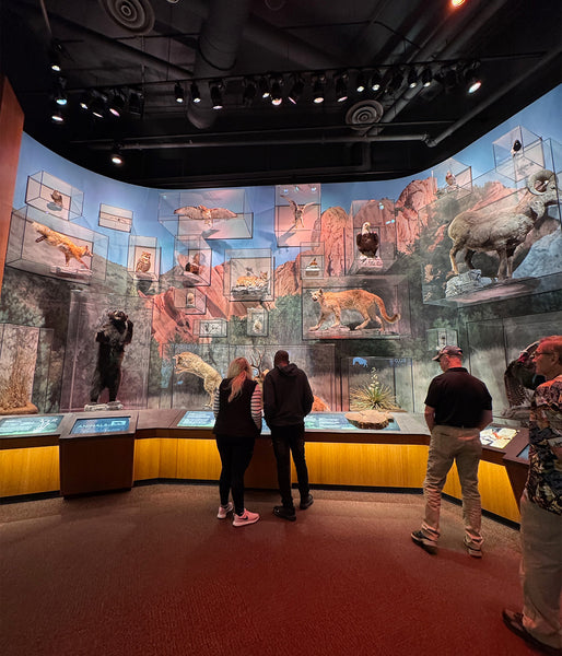 デンバーから日帰りで行ける絶景！コロラドの人気観光地ガーデン・オブ