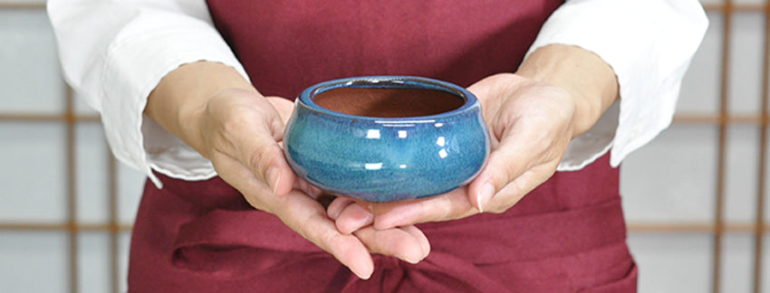 丸形の鉢販売｜盆栽鉢の盆栽妙 – 盆栽妙 本店