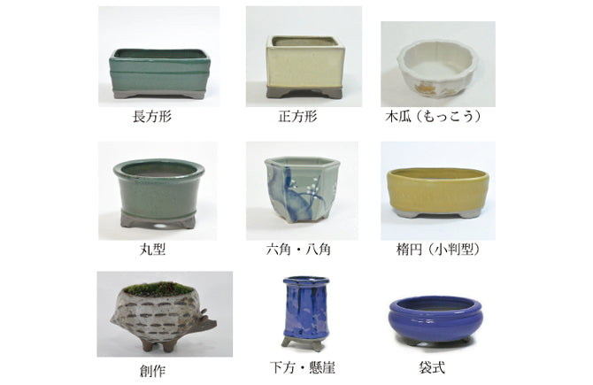 盆栽鉢は何を選ぶ? 盆栽の魅力を最大限に引き立てる鉢選び – 盆栽妙 本店