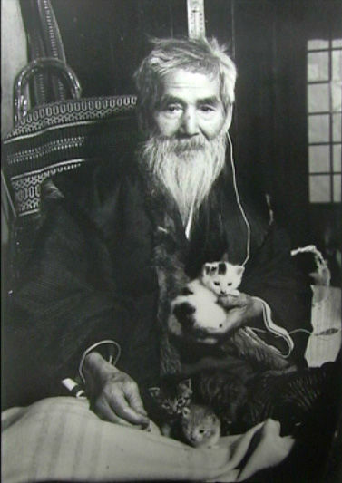 アートde猫 ～熊谷守一の巻～ – 猫の爪とぎ Caricarina(カリカリーナ)