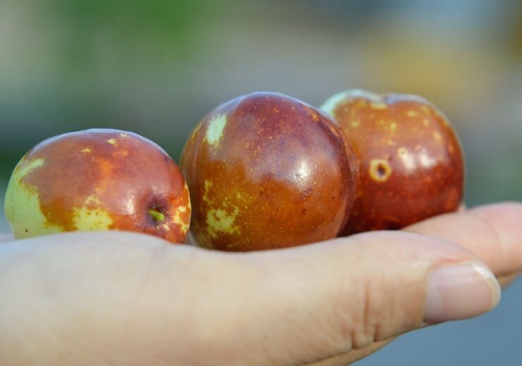 Hassen なつめホール・なつめクランチ