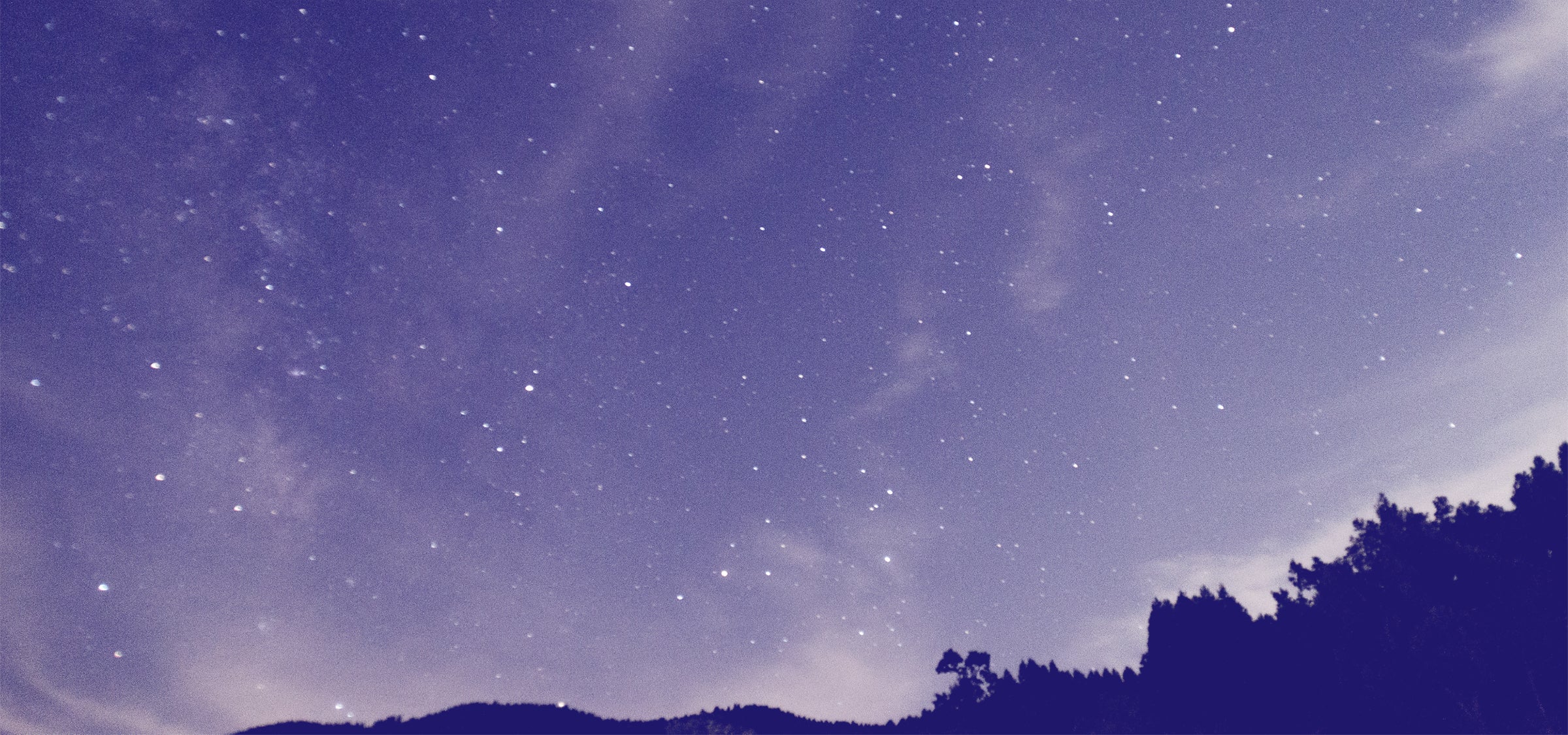 Hoshino Seichaen ( Hoshi no Tsuyu- 星の露) 20g/40g – Misora Yamamoto