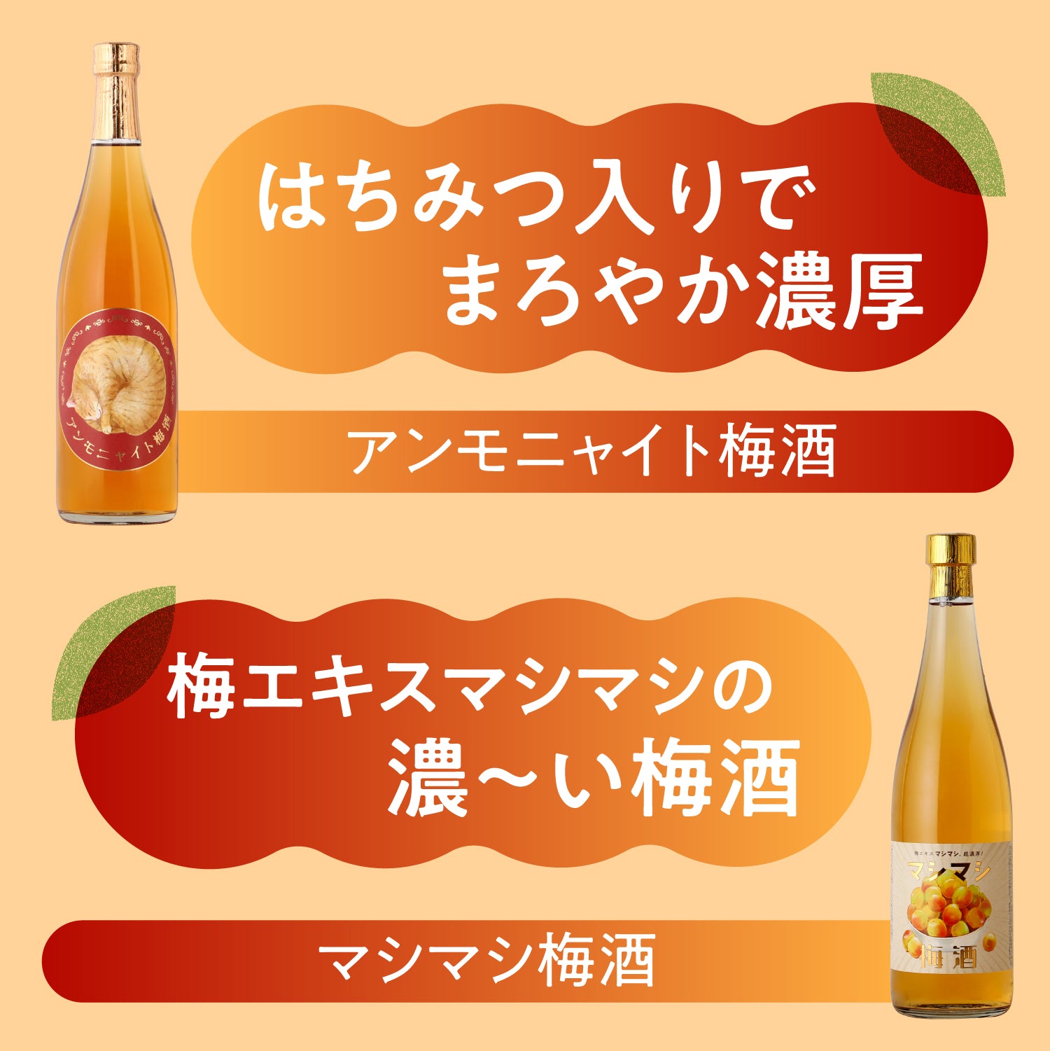 王道梅酒特集 | クラフト酒・日本酒の通販ならKURAND（クランド）