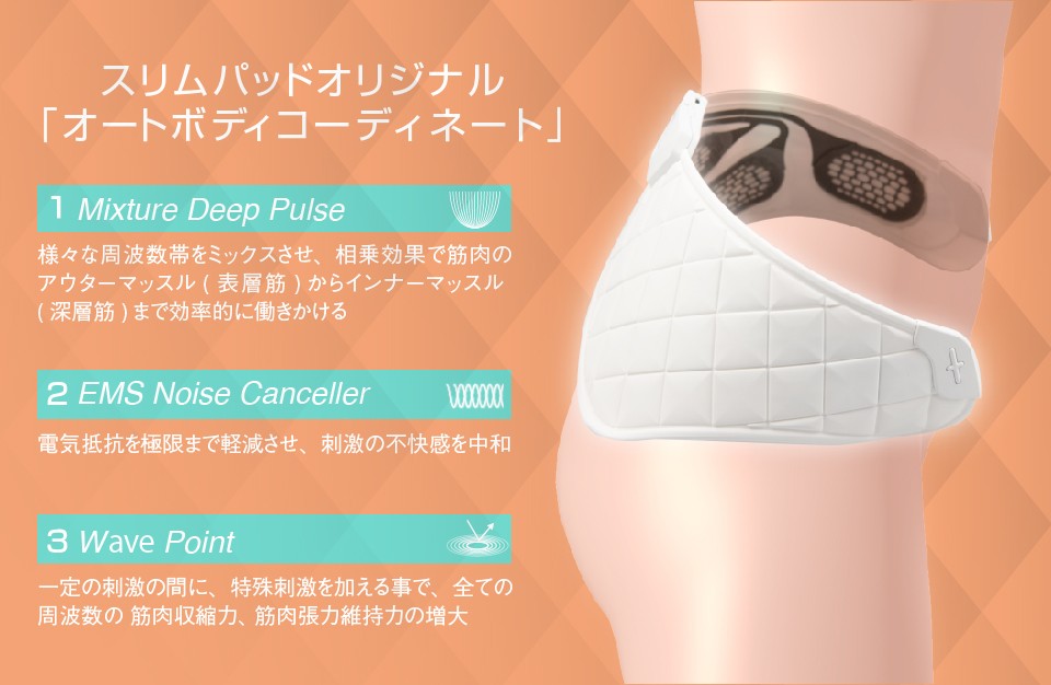 正規品】 ウイルエー SLIMPAD SIX（スリムパッド シックス） ｜ALBUM