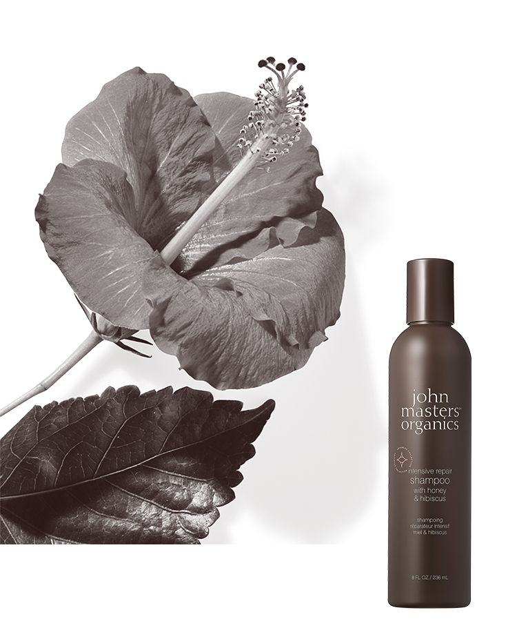 H&Hリペアコンディショナー N （ハニー&ハイビスカス） – ジョン