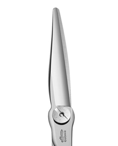 A8E9CAC5-0290-4EEF-A497-