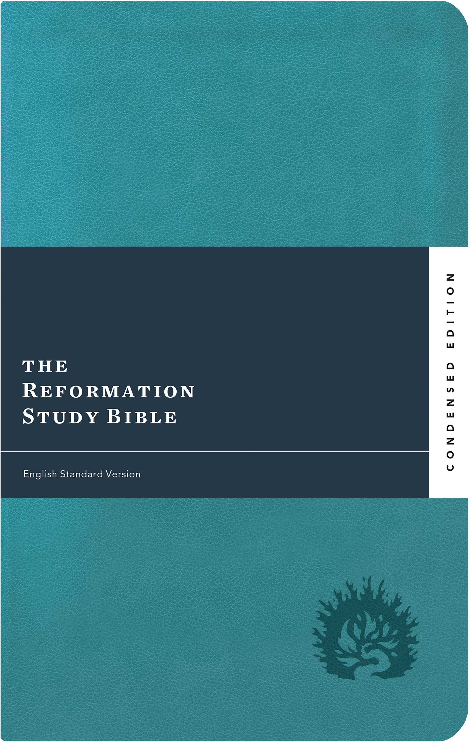 RCE30S_band.png?v=1621606884