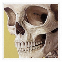 Takkyu Ishino Works 1986~2017(Excerpt)(通常盤)/石野卓球 - レンタル