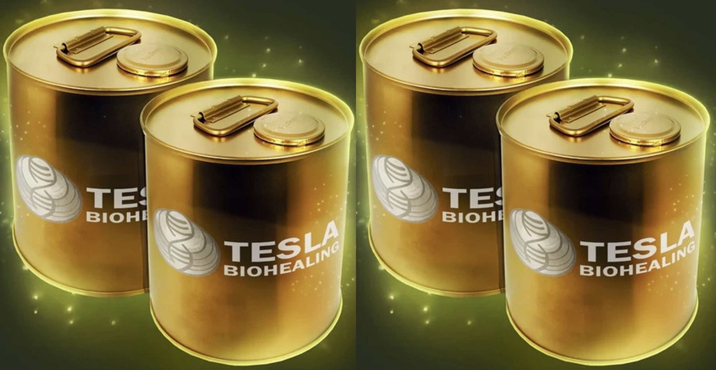 テスラ メドベッド ジェネレーター 埼玉熊谷上毛