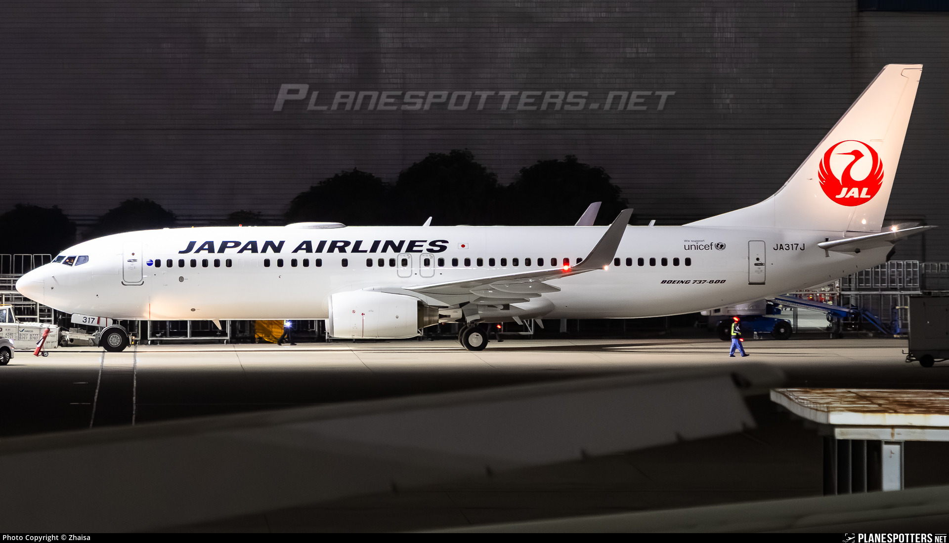 JA317J Japan Airlines Boeing 737-846(WL) Photo by Zhaisa | ID