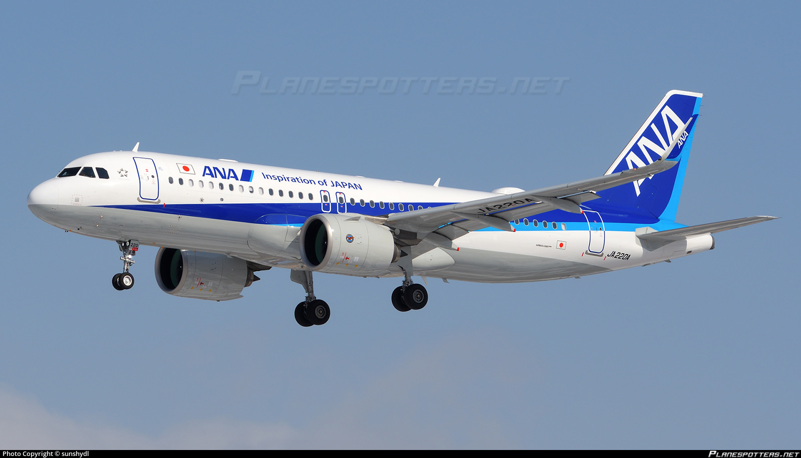 JA220A All Nippon Airways Airbus A320-271N Photo by sunshydl | ID
