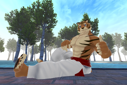 HaritoraX 1.1B - Wireless full-body tracking device | Shiftall