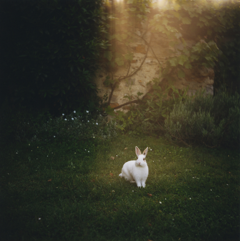 Gallery OUT of PLACE │ パトリック・タベルナ │ Patrick TABERNA