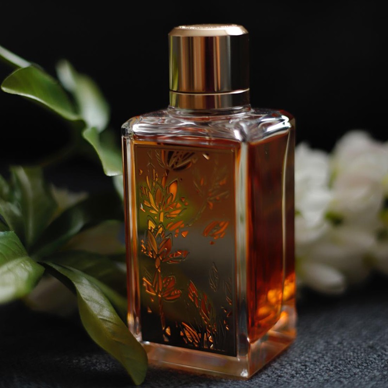 メゾンランコム Lavandes Trianon Signature メゾンランコム Lavandes