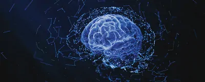 Defying Dogma: Decentralized Translation in Neurons | The Scientist