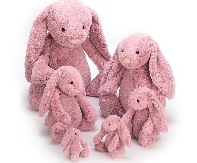 Taiwan Jellycat Bashful Tulip Bunny 36cm Jellycat - Pinkoi