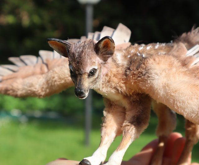 アゼルバイジャン 鹿の翼を持つファンタジー動物のぬいぐるみ！ ポーズ