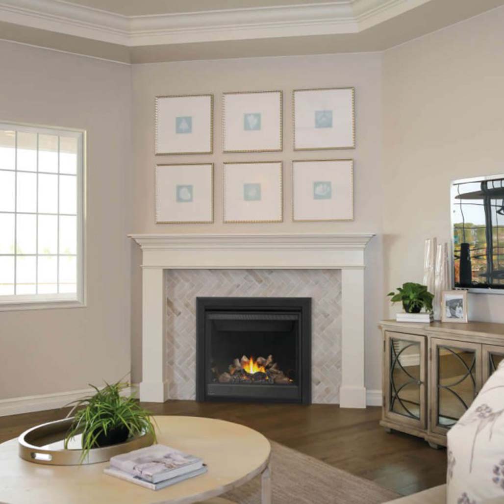 Napoleon Ascent BX 36