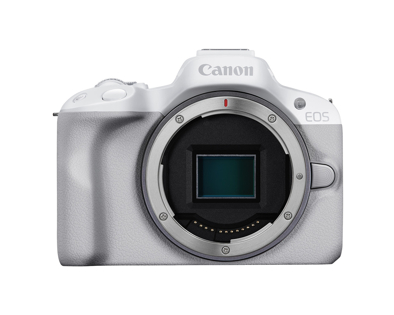 Canon EOS R50 Body Only - White