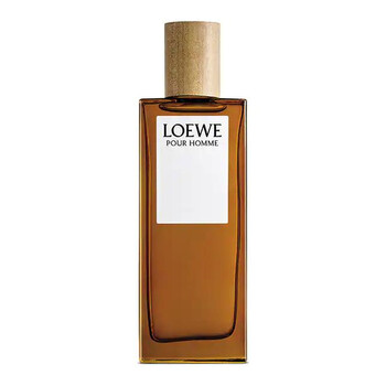 Loewe Men's Solo EDT Spray 3.3 oz Fragrances 8426017070478