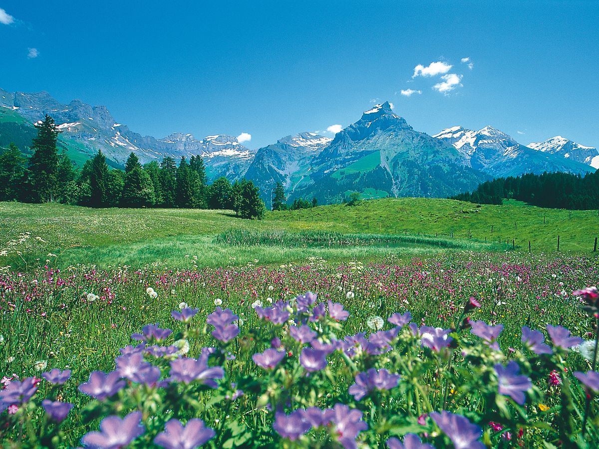 20151202083802_40953322_2496_0