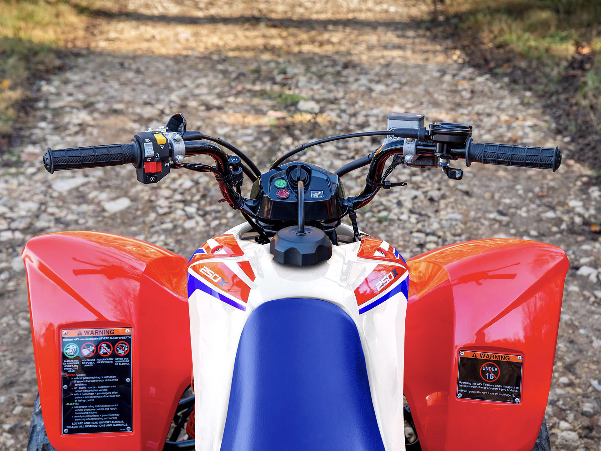 New 2025 Honda TRX250X Red | ATVs in Brookhaven MS |
