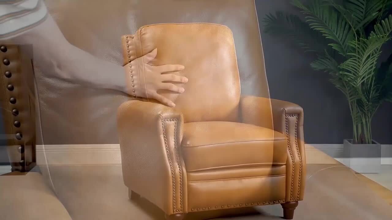 JAYDEN CREATION Theresa Saddle Mid-century Leather Standard (No