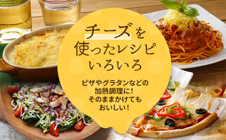 シュレッドチーズ＆キャンディーチーズセット (3) (全5種／超極細 1mm