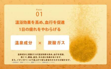 温泡 こだわり森 4種アソート 12箱 【2026年2月下旬より順次発送予定