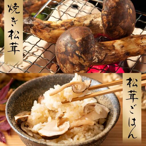 2026年発送分］希少な国産松茸「高野松茸」300g 香り・歯応え・味