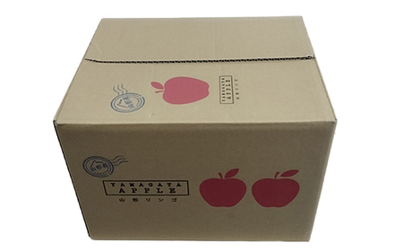 令和8年産 山形県産 サンふじりんご＜訳あり＞ 10kg 32玉～56玉 数量