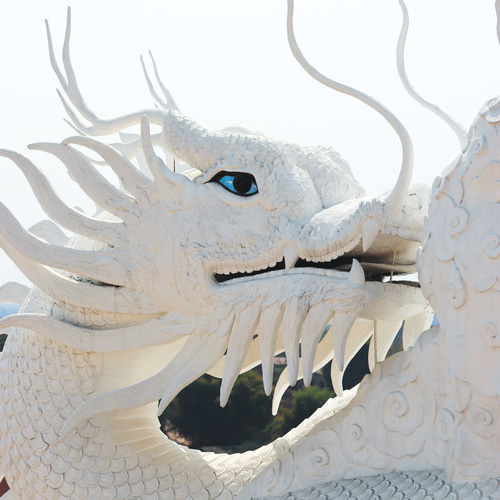 ✡五爪龍神伝授最高位の龍神様とのご縁を繋ぎます✡【感謝クーポン割引