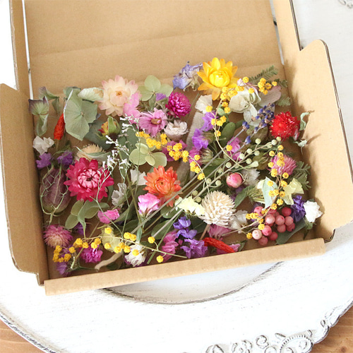 ドライフラワー 花材 詰め合わせ （ オリジナルE・原色系