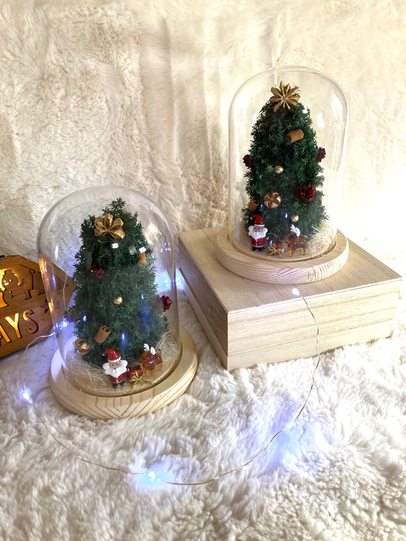 超早割クリスマス2025 プリザーブドドライフラワーガラスドーム