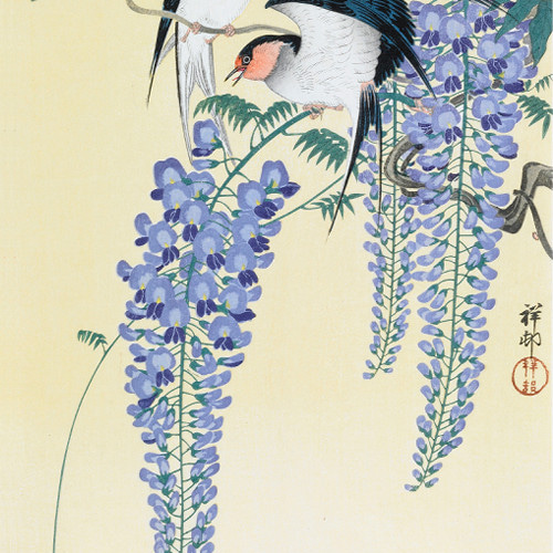 NO.494】ツバメと藤の花の日本画アートポスター和柄植物浮世絵和モダン