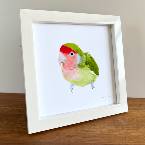 p-jet 正方形 数量限定直筆サイン入り複製画 コザクラインコ / 鳥