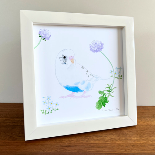 p-jet 正方形 数量限定直筆サイン入り複製画 セキセイインコ 白