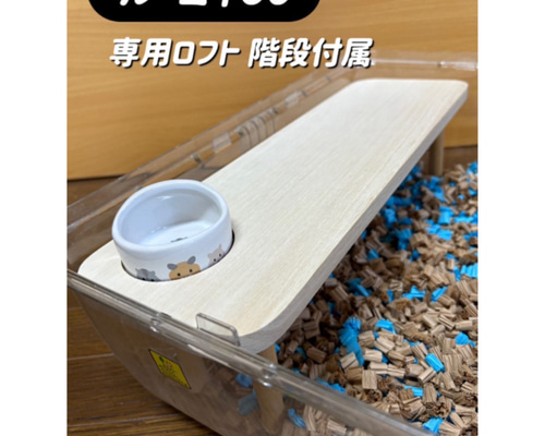 a188d7c5c155037e0fa3a681dc9b0a