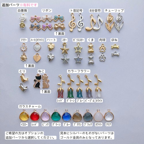 名入れ】全50色❤両面文字入れOK【六角形名入れチャーム】レジン