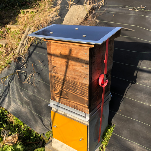 日本蜜蜂 240cmコンクリート桝用 鉄製4面巣門 持ち上げ機対応型 ハウス