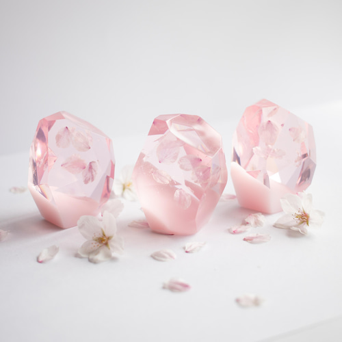 桜花石 Cherry blossom's Epoxite 2025年開花東京産のソメイヨシノを